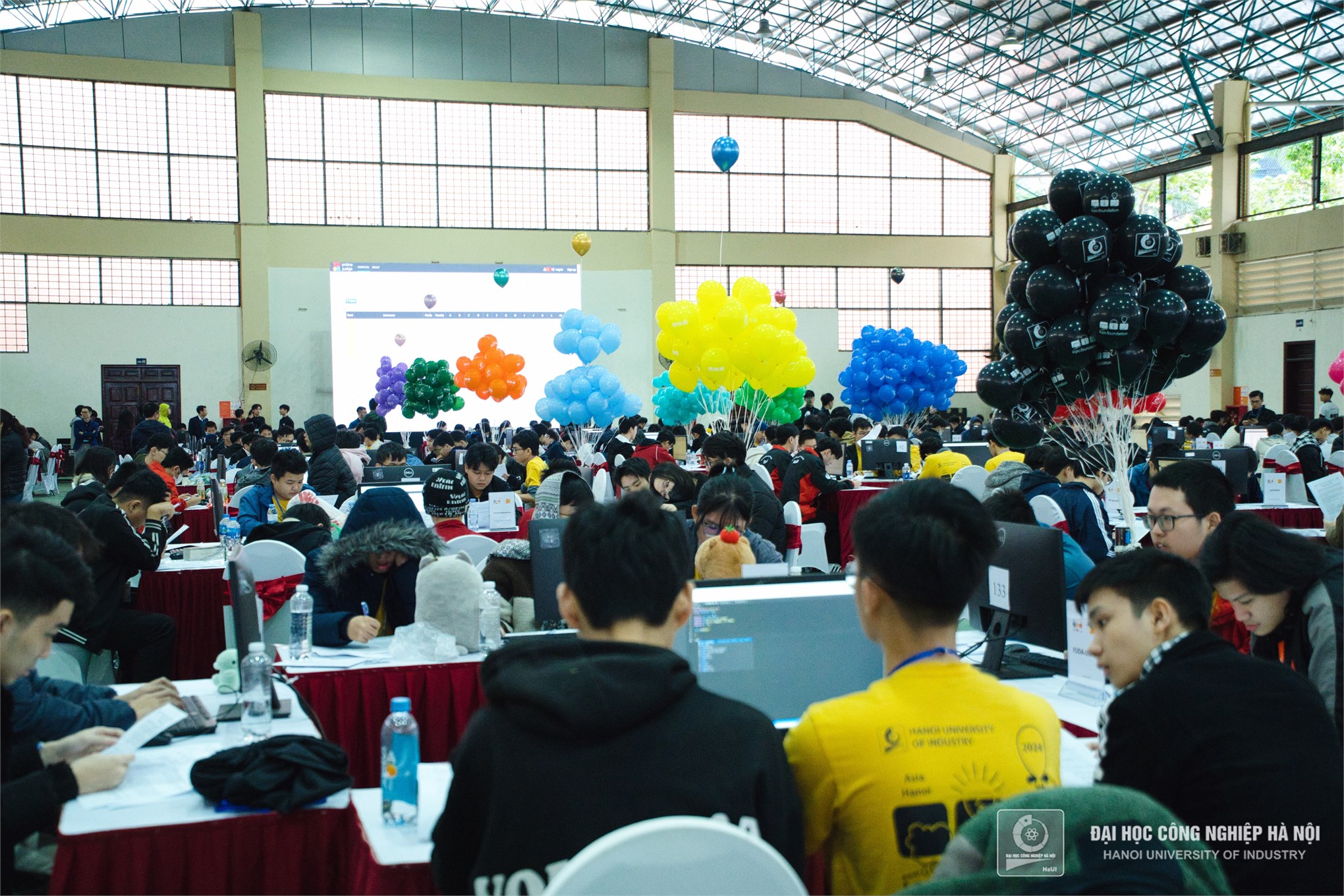 The 33rd Vietnam Student Olympiad in Informatics, Procon Vietnam, and ICPC Asia Hanoi 2024: A Showcase of Talents