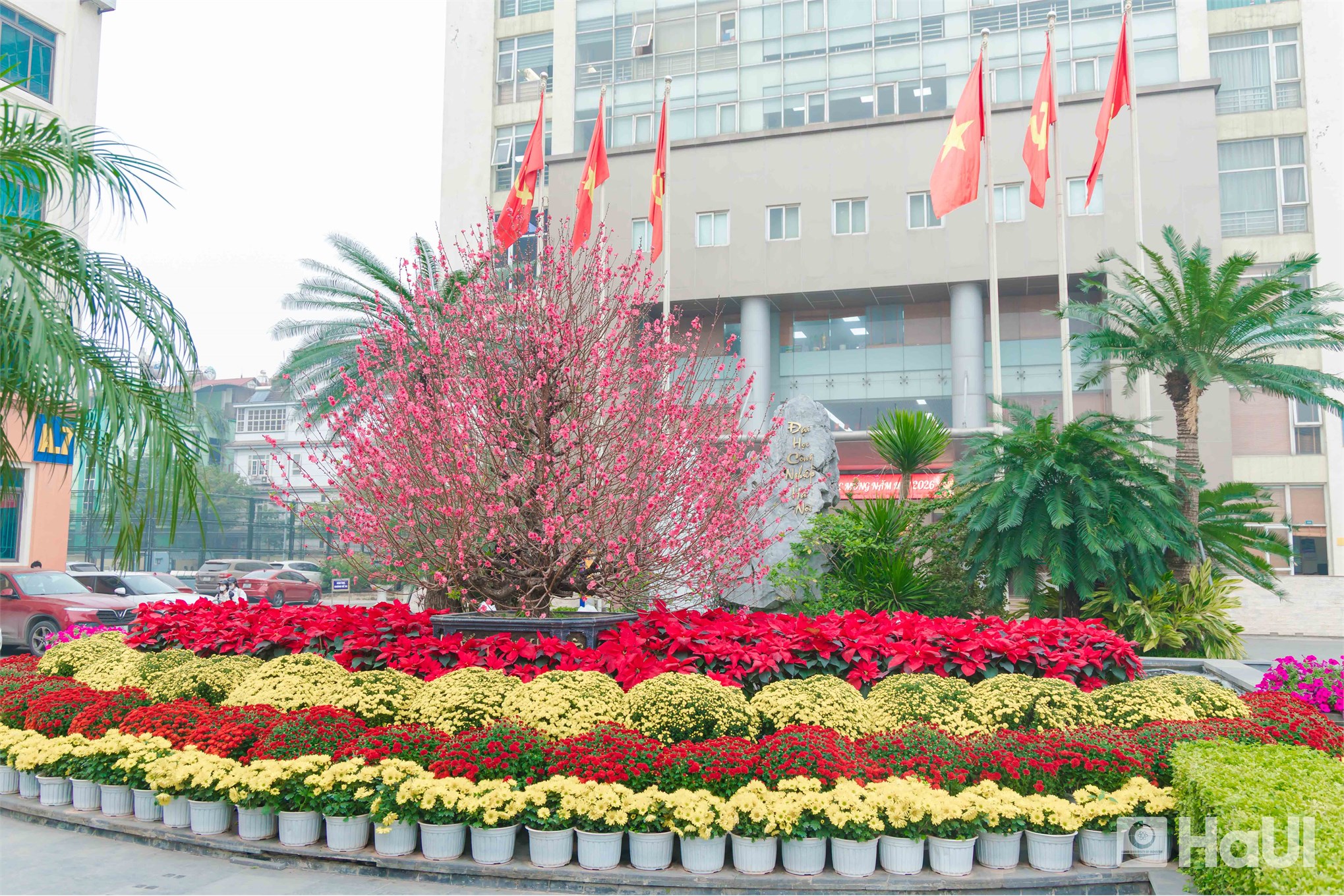 Vị thế mới, khí thế mới: Bản hòa ca Xuân ấm áp gõ cửa Đại học Công nghiệp Hà Nội