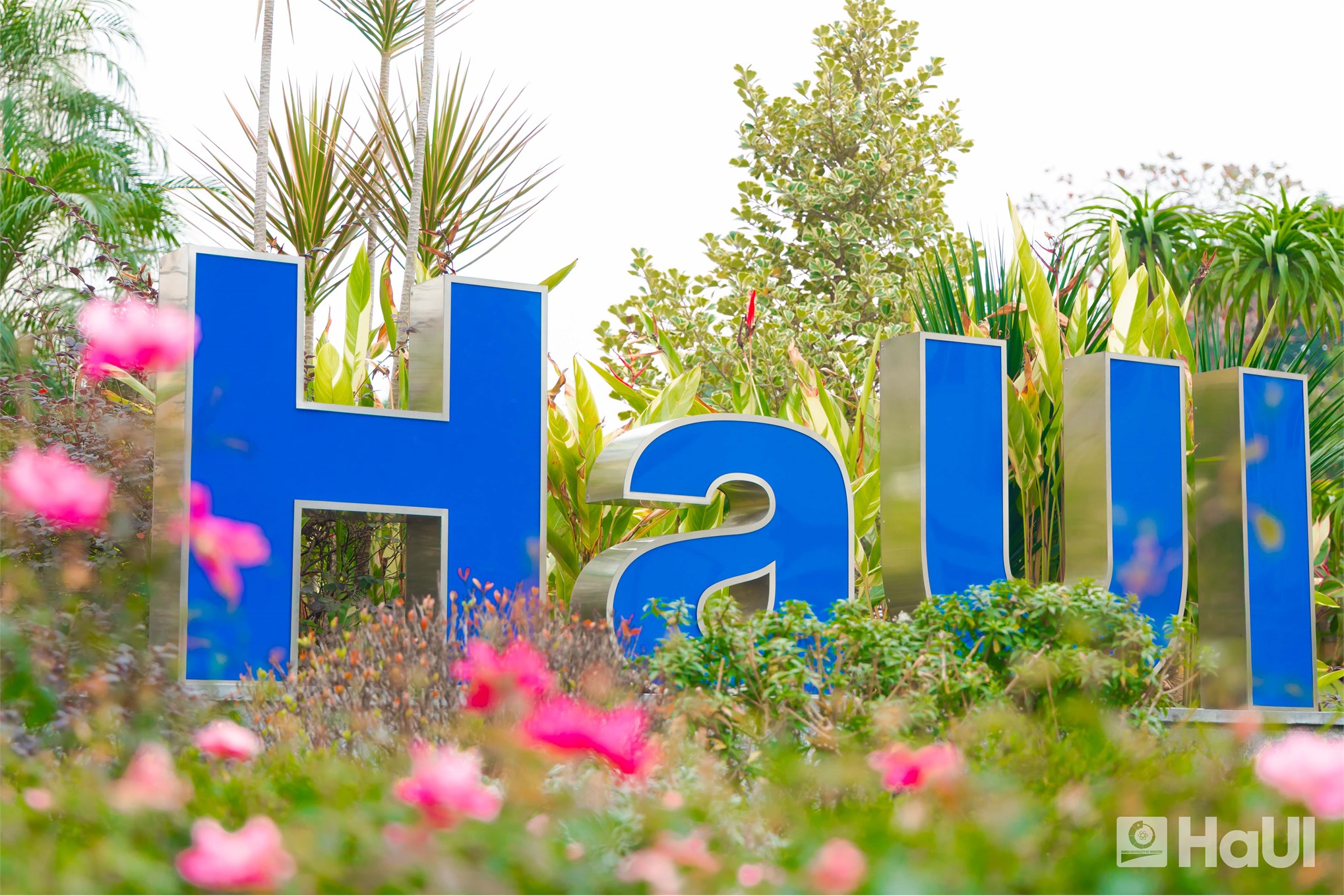 Vị thế mới, khí thế mới: Bản hòa ca Xuân ấm áp gõ cửa Đại học Công nghiệp Hà Nội