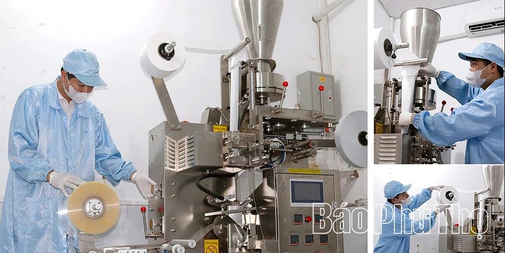 [baophutho] “Vị ngọt” quê hương