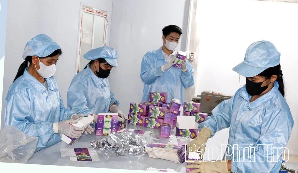 [baophutho] “Vị ngọt” quê hương