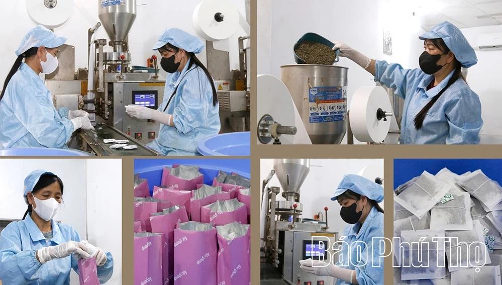 [baophutho] “Vị ngọt” quê hương