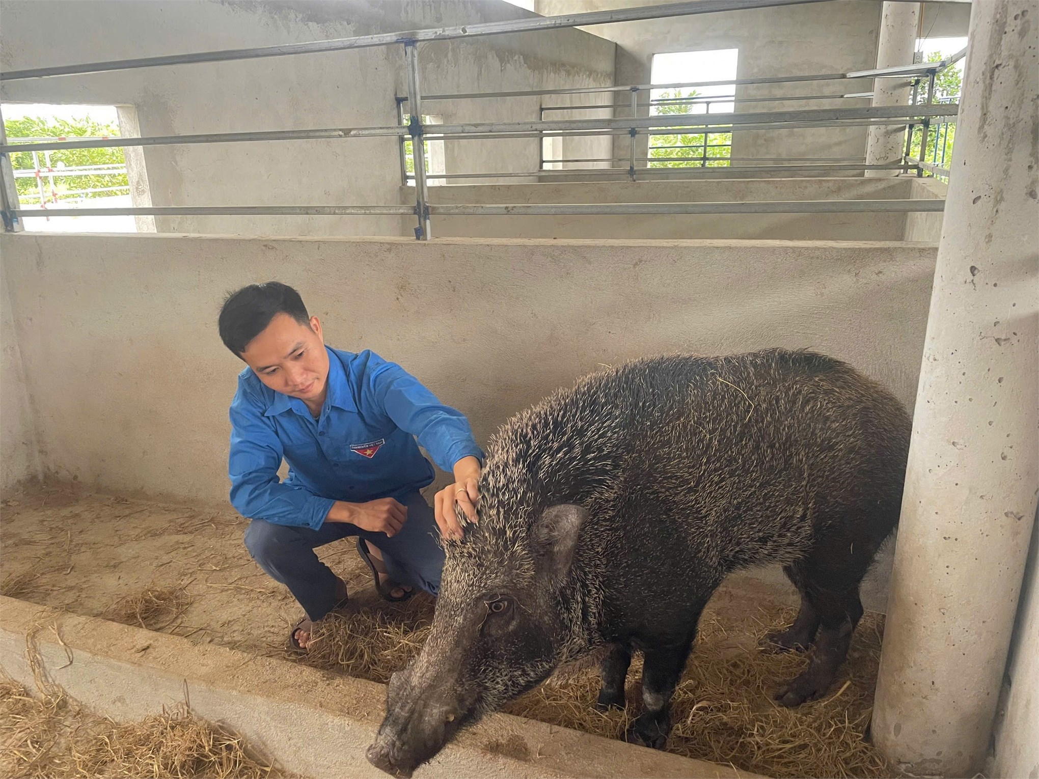 [thoxuan] Gương sáng thanh niên Thọ Xuân khởi nghiệp làm giàu trên mảnh đất quê hương