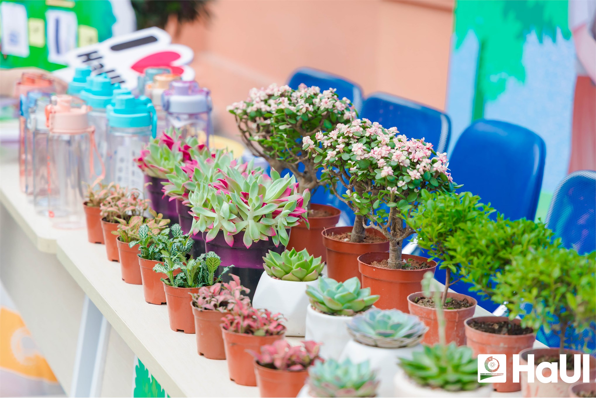 Bùng nổ sức trẻ tại ngày hội Tuổi trẻ HaUI Genesis 2026: Tuổi trẻ HaUI - Vững bước tiên phong