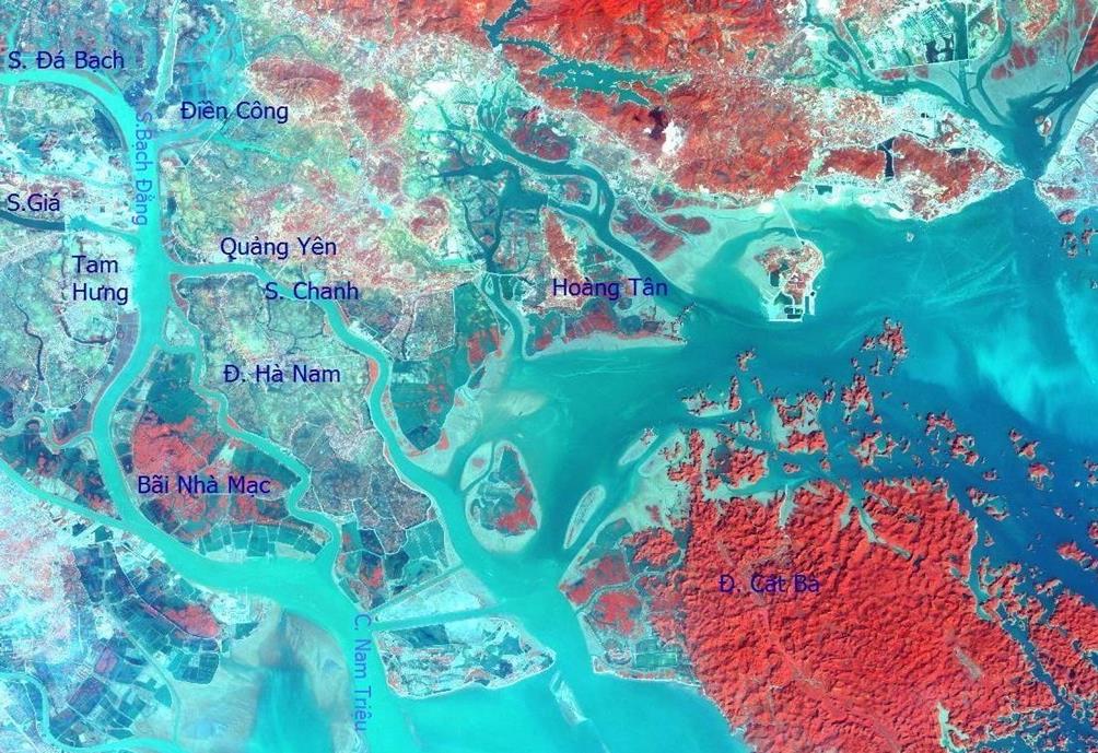 [tiasang] 'Suốt mấy ngàn năm, người Việt luôn tìm cách cập nhật những công nghệ mới nhất'