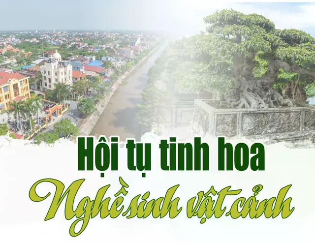 [baoninhbinh] Hội tụ tinh hoa nghề sinh vật cảnh