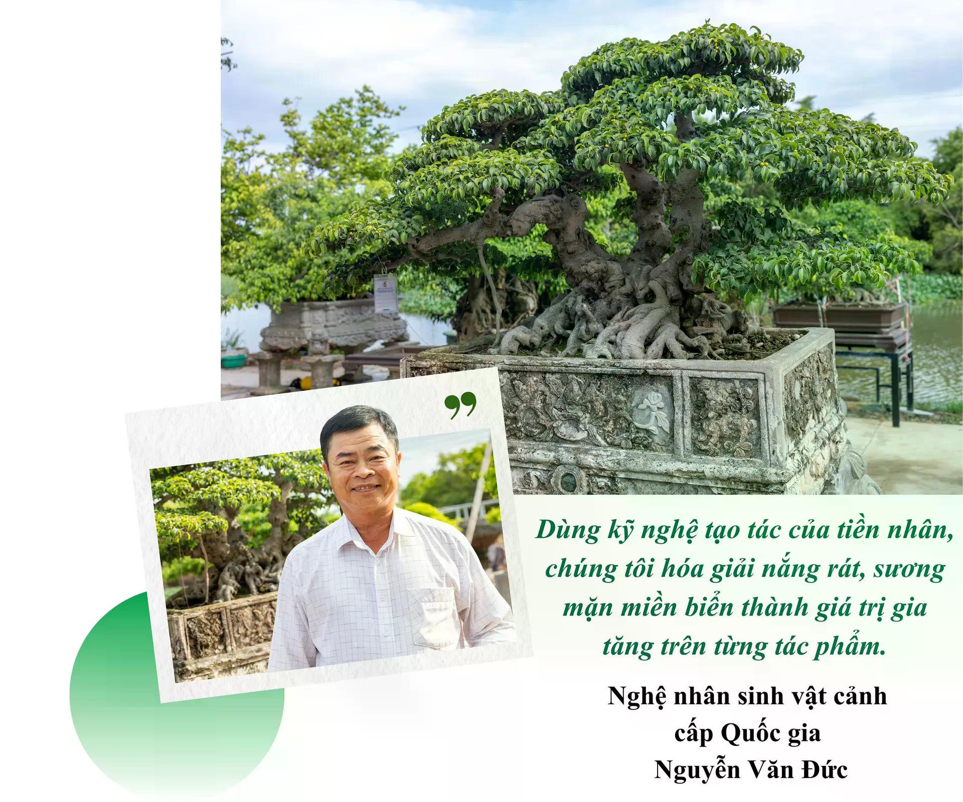 [baoninhbinh] Hội tụ tinh hoa nghề sinh vật cảnh