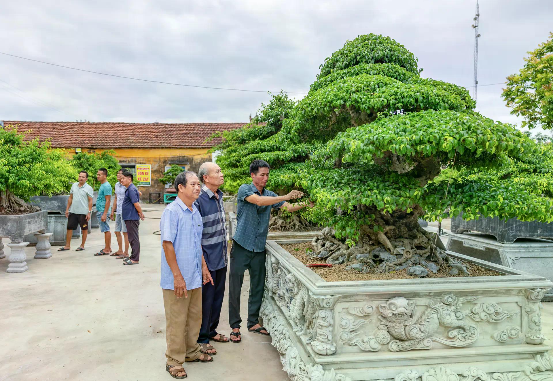 [baoninhbinh] Hội tụ tinh hoa nghề sinh vật cảnh