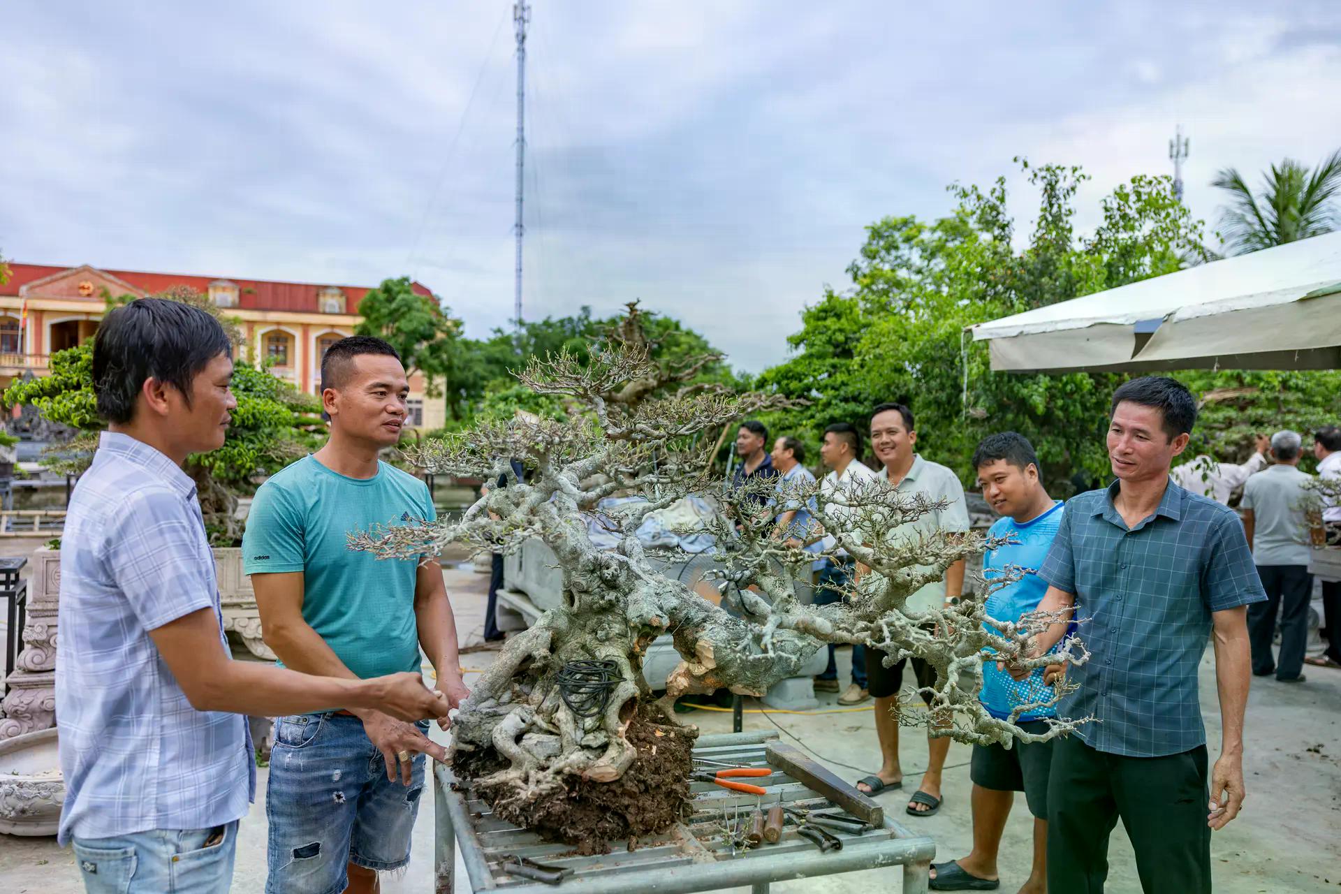 [baoninhbinh] Hội tụ tinh hoa nghề sinh vật cảnh