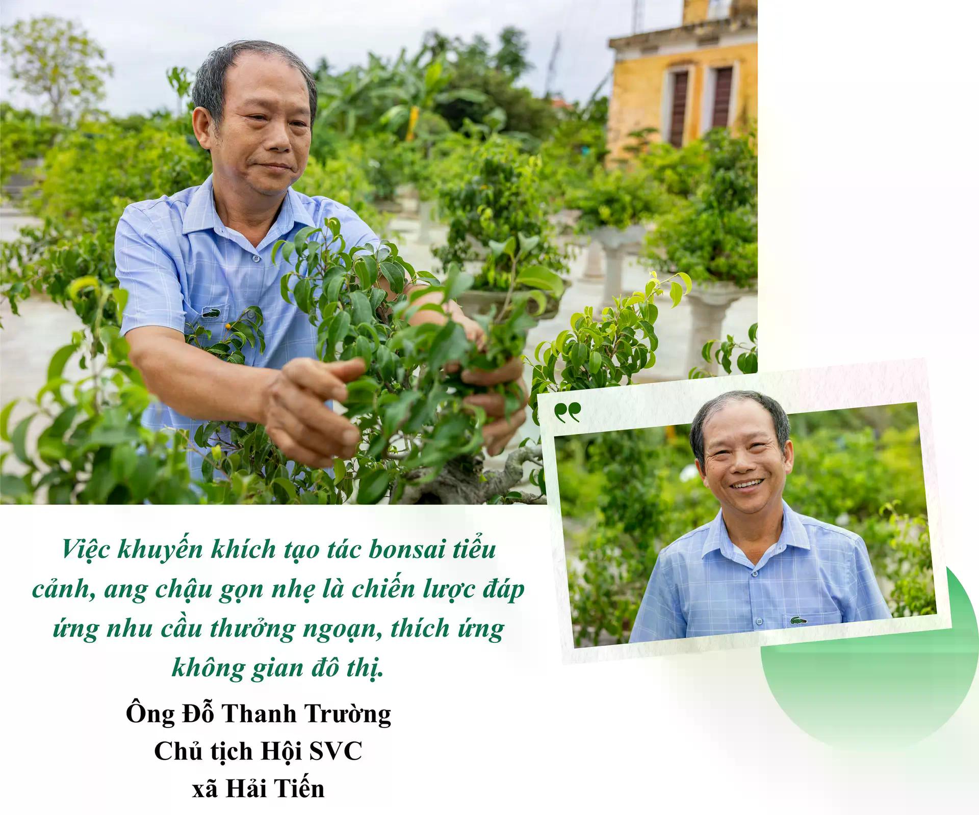 [baoninhbinh] Hội tụ tinh hoa nghề sinh vật cảnh
