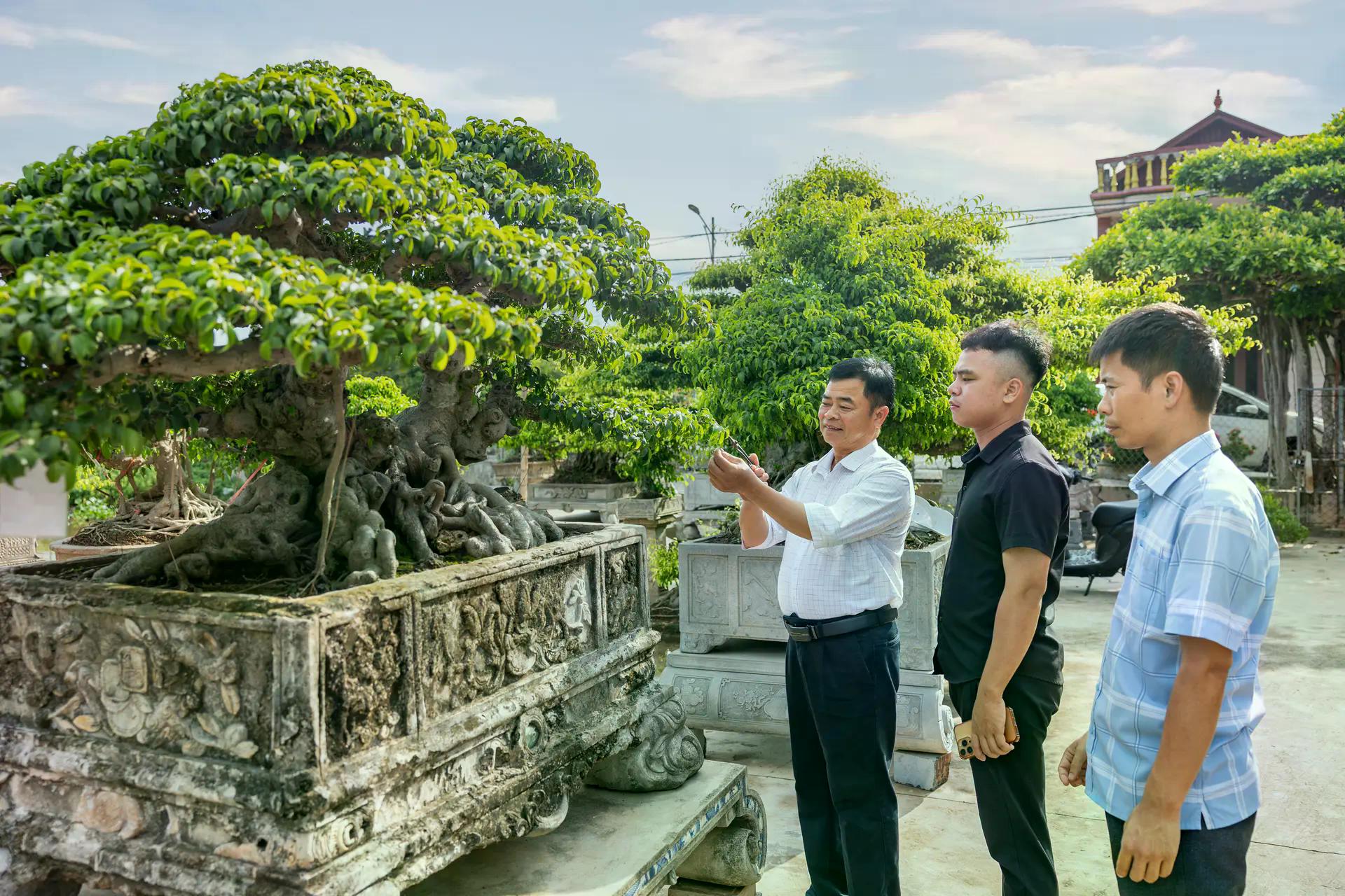 [baoninhbinh] Hội tụ tinh hoa nghề sinh vật cảnh