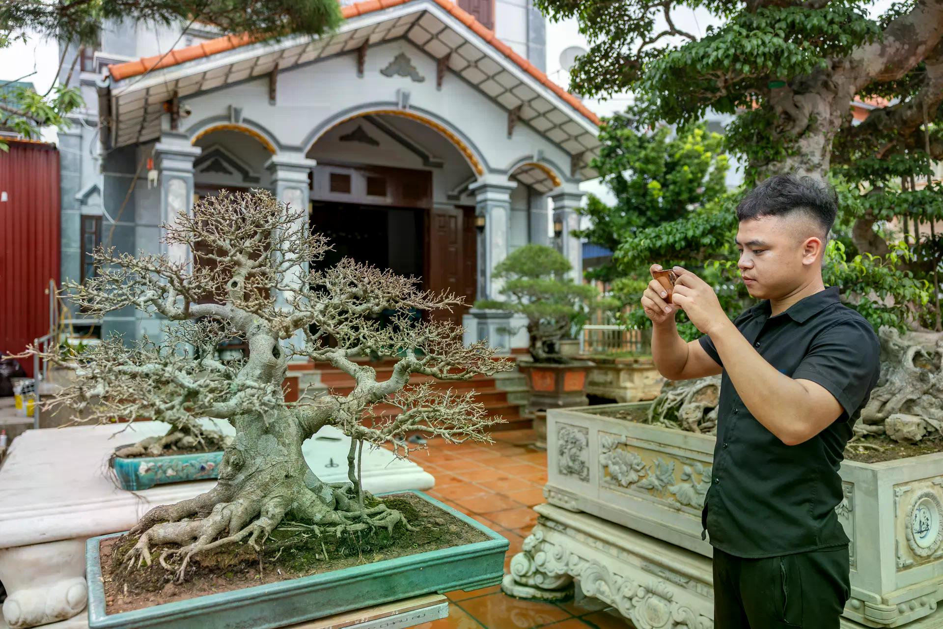 [baoninhbinh] Hội tụ tinh hoa nghề sinh vật cảnh