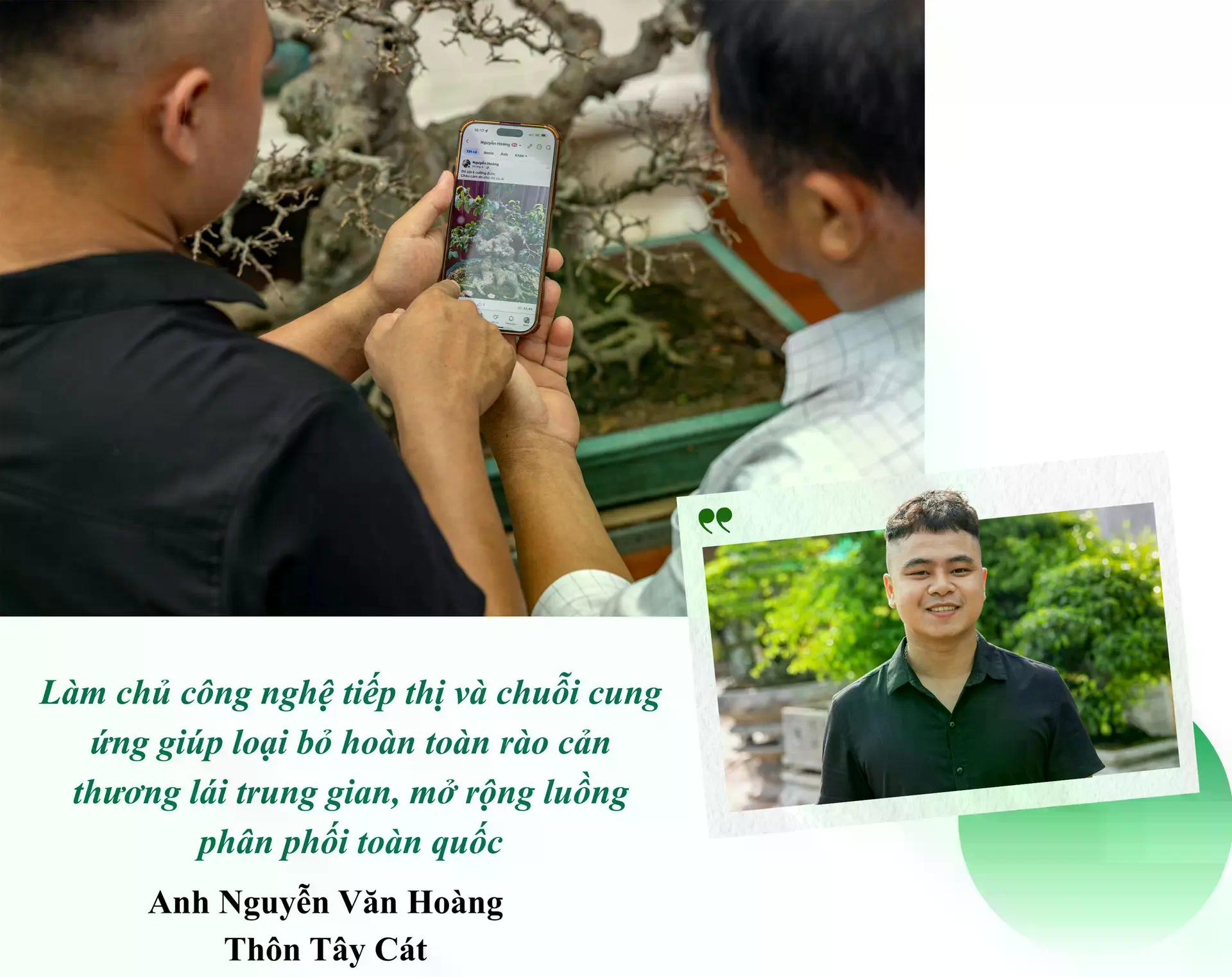 [baoninhbinh] Hội tụ tinh hoa nghề sinh vật cảnh