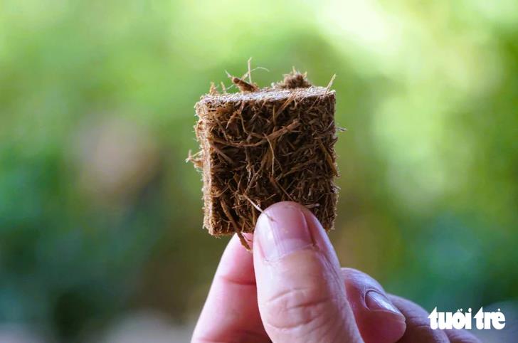 [tuoitre] Kỹ sư rời phố về quê, biến rơm rạ thành sản phẩm độc lạ bán sang Mỹ, Canada