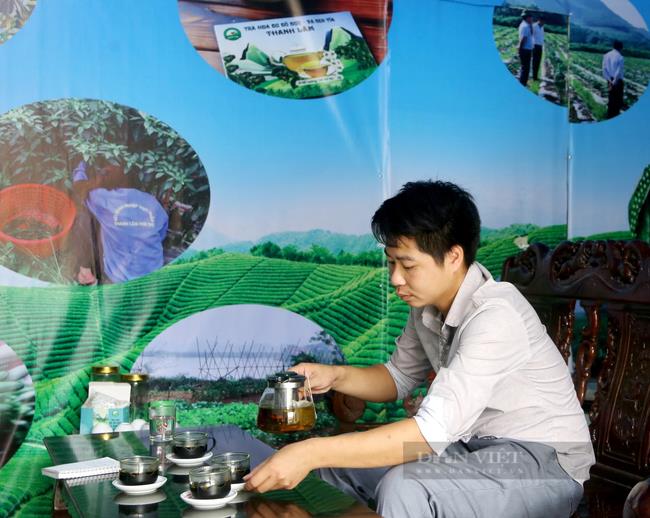 Tưởng là loài hoa bỏ đi, Giám đốc HTX 9X ở Phú Thọ biến hoa đu đủ đực thành trà, thu tiền tỷ