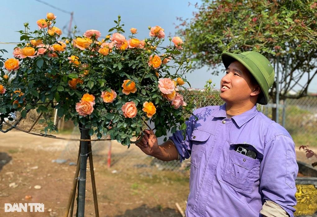 [dantri] Mạnh tay chi tiền mua giống hoa hồng đi `bay`, nông dân 9X thu tiền tỷ