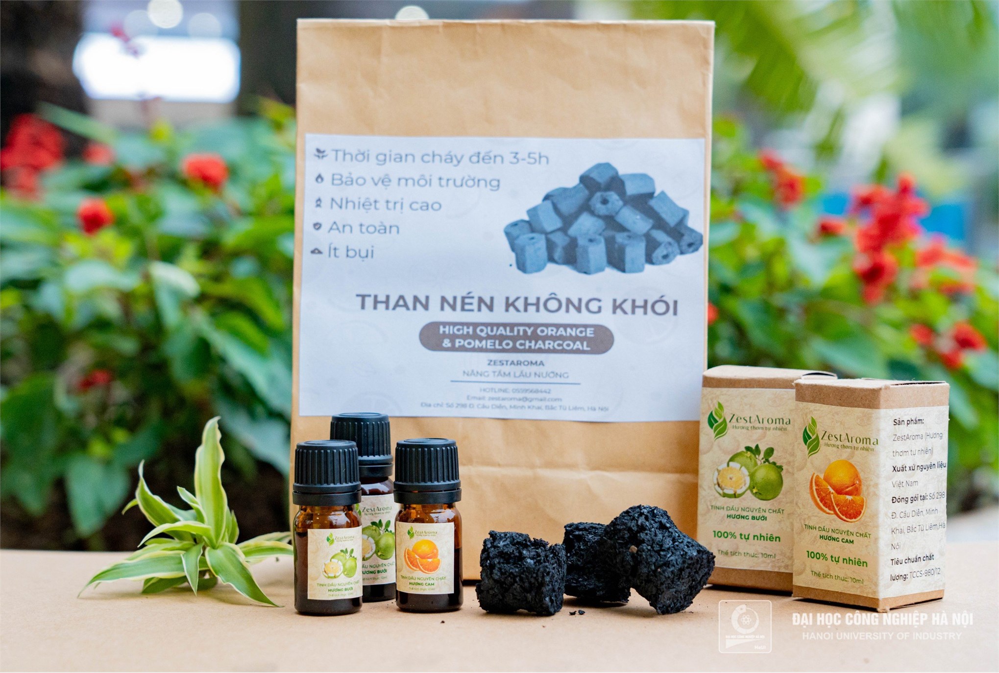 ZestAroma Project: Harnessing the Power of Citrus Peels for Essential Oils and Charcoal Tablets