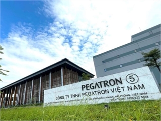Tổ chức Hội thảo giới thiệu chương trình học bổng, định hướng nghề nghiệp và tuyển dụng của Công ty TNHH Pegatron Việt Nam