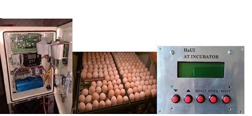Máy ấp trứng gia cầm sử dụng năng lượng mặt trời:HaUI ATINCUBATOR