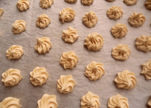 Giới thiệu sản phẩm KHCN đã triển khai thực hiện