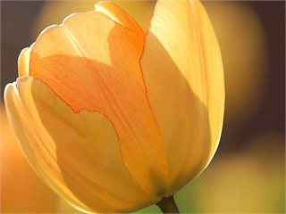 Danh sách thi bằng lái xe sáng 30 tháng 07