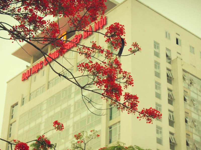 6 tháng 23 ngày…, tôi nhớ HaUI