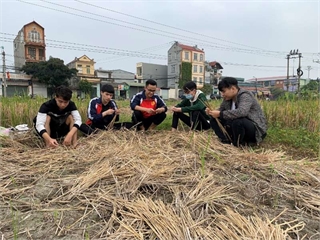 Research on cellulose denatured from straw to adsorbate gasoline in water