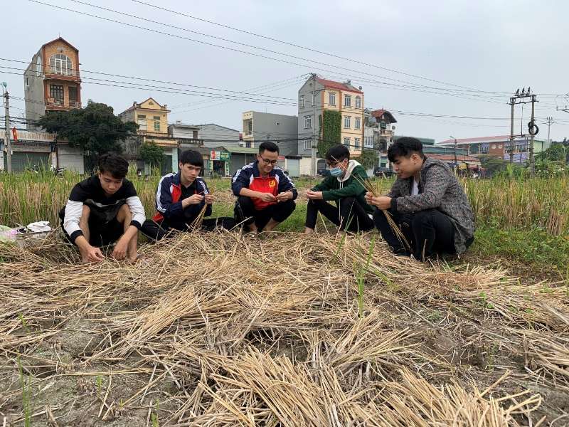 Research on cellulose denatured from straw to adsorbate gasoline in water