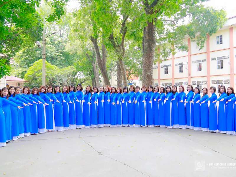 Những bông hoa đậm đà sắc hương