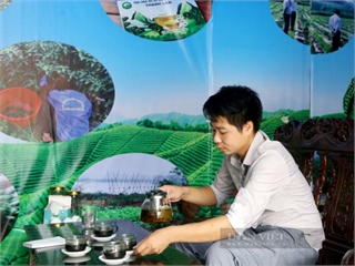 Tưởng là loài hoa bỏ đi, Giám đốc HTX 9X ở Phú Thọ biến hoa đu đủ đực thành trà, thu tiền tỷ